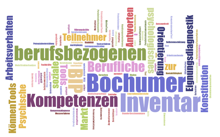 Bochumer Inventar zur beruflichen Persönlichkeitsbeschreibung